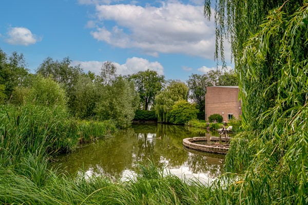 Medium property photo - De Houtmanstraat 113, 6826 PH Arnhem